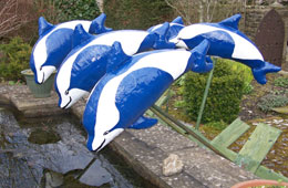 Synchronised Swimming at Malham Safari Trail