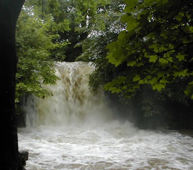 Janets Foss